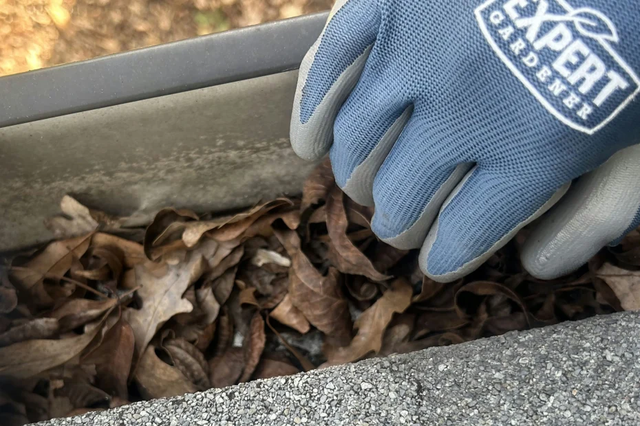 Gutter Cleaning Northlake TX