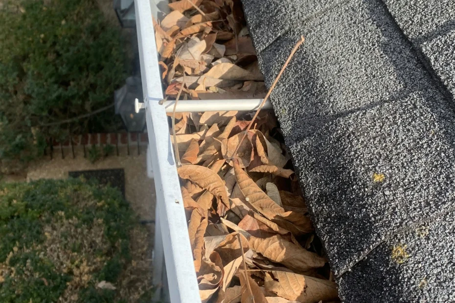 Gutter Cleaning Northlake TX